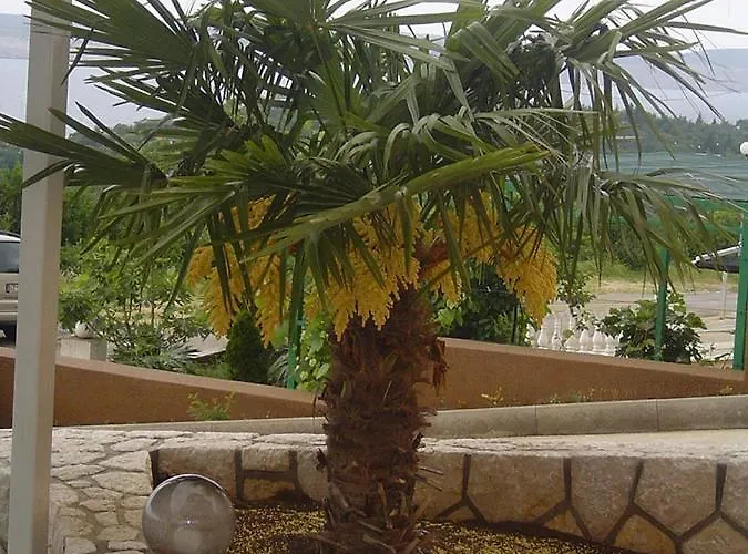 In With Sea View, Balcony, Air Conditioning, Wifi 4623-2 Appartamento